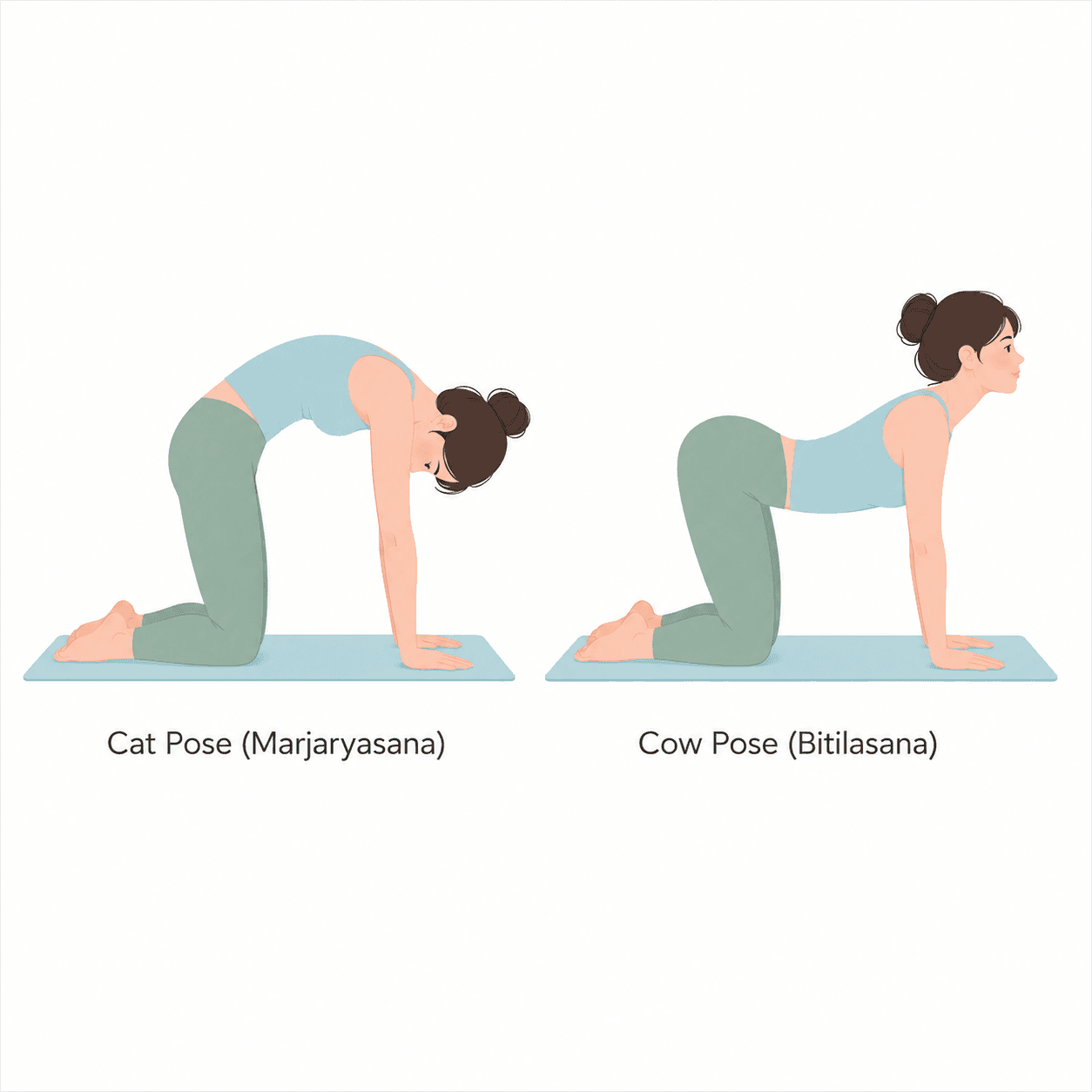 Cat-Cow Pose